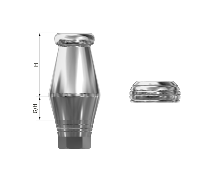 LOCATOR ABUTMENT e1690286385590